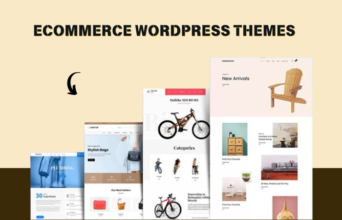 Ecommere WordPress Themes