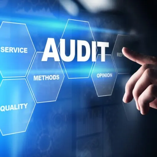 IT Audit Services